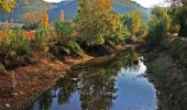 Trail On foot Unknown - A Ribeira de Cheleiros - Photo 9