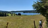 Trail Walking Chapelle-des-Bois - Le tour du lac des mortes. - Photo 6
