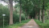 Trail Walking Hoogstraten - Wortel-Kolonie  - Photo 4