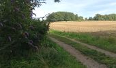 Tocht Stappen Montreuil-aux-Lions - Montreuil-aux-Lions du 20-07-2024 - Photo 7