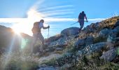 Excursión Senderismo Zicavo - Matsala Incudine - Photo 10