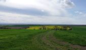 Tocht Elektrische fiets Saint-Clément - sortie vtt 23042023 - Photo 7