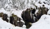 Randonnée Raquettes à neige Basse-sur-le-Rupt - 20210102_raq_Planois_Chalet-des-Charmes - Photo 5