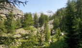 Excursión Senderismo Belvédère - Relais Merveille-Madone de la Fenestre - Photo 5