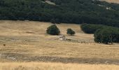 Tour Wandern Bouvante - Tour du Plateau d’Ambel - Photo 1