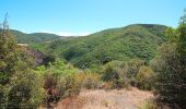 Trail On foot Volterra - Dolce campagna, antiche mura 21 - Photo 7