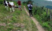 Trail Walking Hasparren - Cambo 02 06 2022 - Photo 3