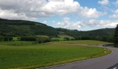 Randonnée Cyclotourisme Lierneux - Arbrefontaine - Photo 15