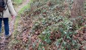Trail Walking Aywaille - Elfique 13km - Photo 1