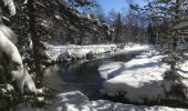 Randonnée Raquettes à neige Orsières - Champex Lac - La Breya - Champex Lac - Photo 18
