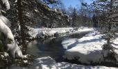 Tour Schneeschuhwandern Orsières - Champex Lac - La Breya - Champex Lac - Photo 18