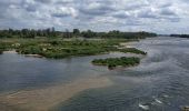 Tour Wandern Tavers - Balade Tavers-Beaugency  - Photo 7