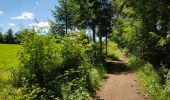 Trail Walking Monschau - Montjoie - Ternell en ligne - Photo 9