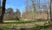 Trail Walking Compiègne - en forêt de Compiègne_48_sur les Routes de la Mariolle et du Grand Veneur - Photo 16