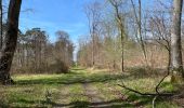 Percorso Marcia Compiègne - en forêt de Compiègne_48_sur les Routes de la Mariolle et du Grand Veneur - Photo 16