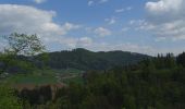 Excursión A pie Gratwein-Straßengel - Wanderweg 15, Kalvarienbergweg - Photo 4