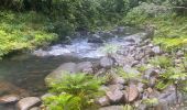 Trail Trail Petit-Bourg - INRA  - Photo 11