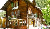 Tocht Te voet Kandersteg - Gfelalp - Lötschenpass - Photo 8