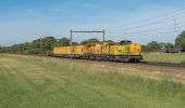 Percorso A piedi Rijssen-Holten - WNW Twente - Dijkerhoek - blauwe route - Photo 1