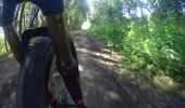 Percorso Mountainbike Assesse - courriere - Photo 2