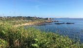 Tocht Stappen Perros-Guirec - Vallée des Traouïero - Photo 13