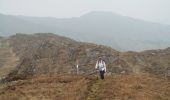 Tour Zu Fuß West Cork - Peakeen Ridge Loop Walk - Photo 3