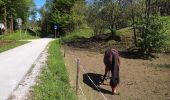 Randonnée A pied Kranjska Gora - Čičare to Srednji Vrh 19 - Photo 2