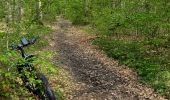 Tocht Elektrische fiets Saint-Clément - sortie vtt 30042023 vitrimont  - Photo 5