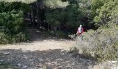 Trail Walking Évenos - col de garde destel - Photo 3
