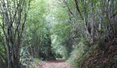 Trail Walking Rontignon - sentier des crêtes Rontignon - Photo 4