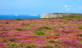 Excursión Senderismo Crozon - Boucle 18 km Morgat Pointe de Dinan - Photo 15