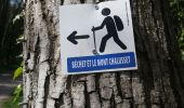 Tour Wandern Châtel-Guyon - Béchet et le mont Chalusset - Photo 1