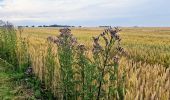 Excursión Senderismo Verneuil-l'Étang - Le tour du grand Paris via le GR1 Etape 12 Verneuil l'Etang- Melun - Photo 18