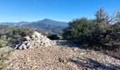 Trail Walking La Roque-Alric - Les 4 sommets de la Roque Alric - Photo 1