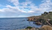 Randonnée Marche Argelès-sur-Mer - racou -  risque de portails (par les bois) port argeles (par la mer) le racou - Photo 8