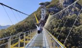 Trail Other activity Unknown - Ballade dès ponts suspendus Wonju-si  - Photo 5