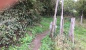 Trail Walking Trooz - Balade du tilleul  - Photo 10