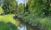 Tocht Stappen Overijse - Ter là en - Photo 2