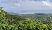 Tour Wandern Le Vauclin - Boucle Montagne Vauclin - Photo 1