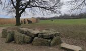 Randonnée Marche Durbuy - ballade autour des menhirs, dolmens et pierres de légendes de Weris - Photo 5