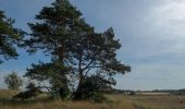 Percorso A piedi Barneveld - Dwars door Gelderland (6) - Photo 8