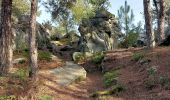 Tour Wandern Fontainebleau - Fontainebleau Sentier Denecourt N°10 - Photo 15