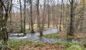 Trail Walking Habay - Les 4 fils Aymon  - Photo 2