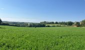 Randonnée  Castelnau-de-Montmiral - Chemin de Gradille avec chapelle  - Photo 13