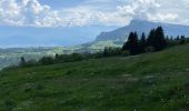 Tocht Stappen Engins - Boucle au départ d’engins - Photo 12