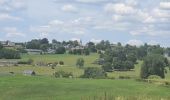 Tocht Stappen La Roche-en-Ardenne - rando warempage 13/07/2020 - Photo 1