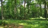 Randonnée Marche Dampleux - en forêt de Retz_82_sur les Routes de la Bruyère aux Loups et de la Chrétiennette - Photo 20