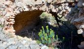 Tocht Stappen Tourves - SityTrail - Tourves- Le Saut du Cabri - Les gorges du Caramy - Photo 18