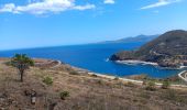 Tocht Stappen Cerbère - cerbère. cap cerbère. coll dels belitras . puig dels frères. cerbère - Photo 8