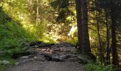 Trail Walking Chamonix-Mont-Blanc - Cascade du Dard Glacier du Bosson - Photo 10